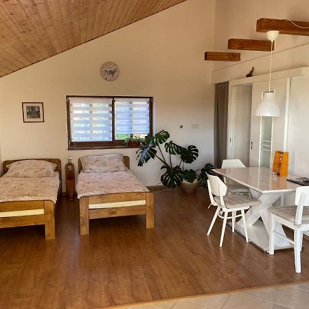 Apartmán v podhůří Jizerských hor Zelezny Brod Exteriér fotografie