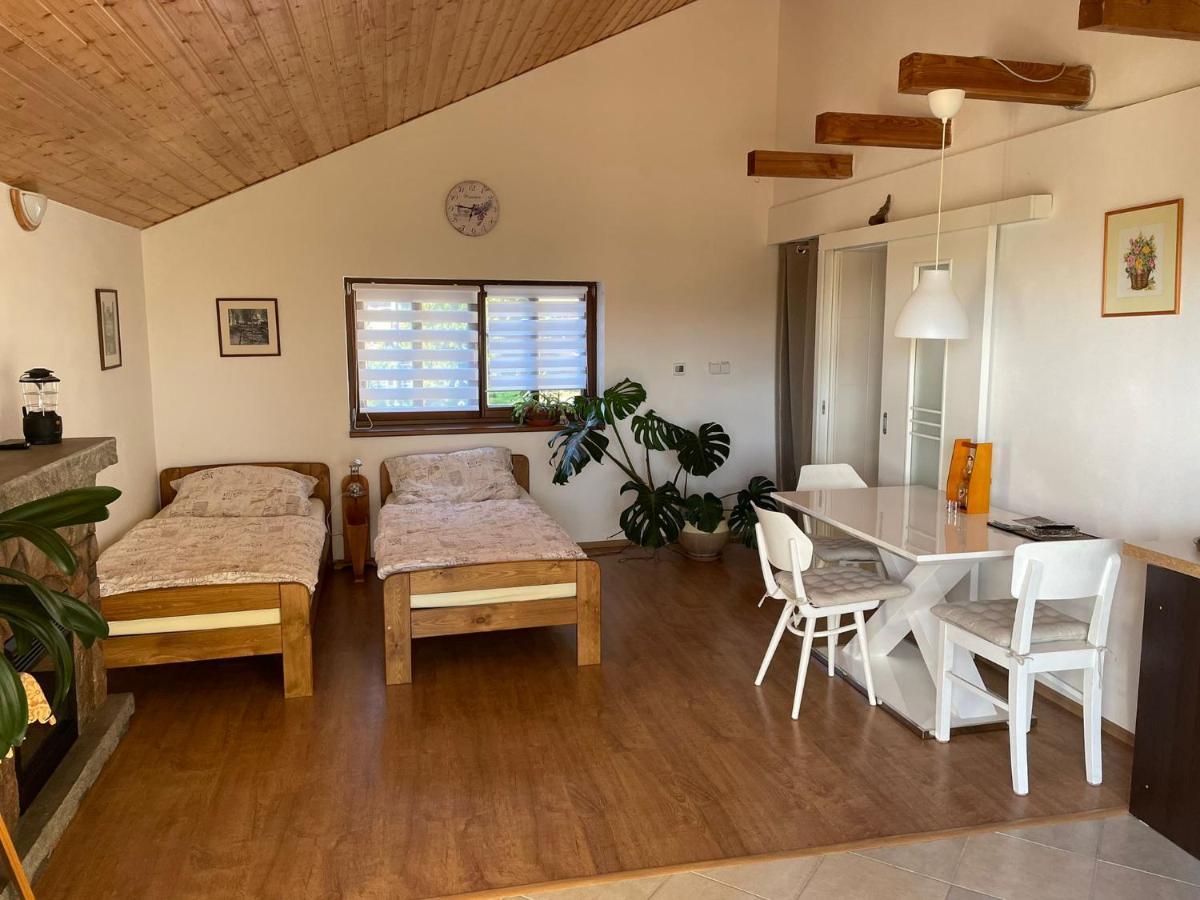 Apartmán v podhůří Jizerských hor Zelezny Brod Exteriér fotografie