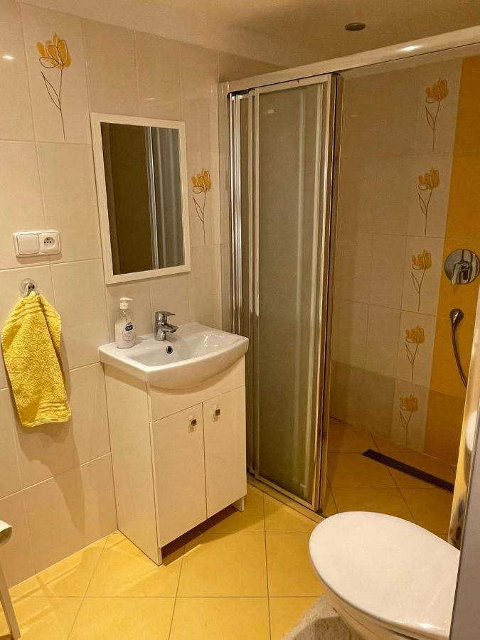 Apartmán v podhůří Jizerských hor Zelezny Brod Exteriér fotografie
